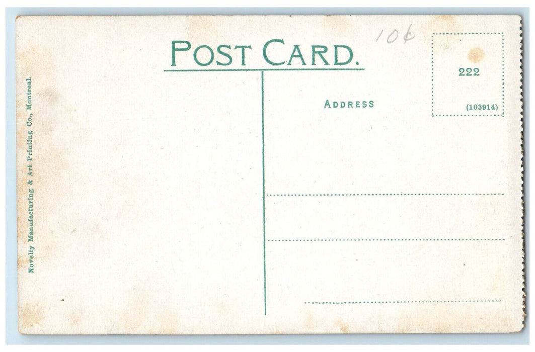c1910 Mount Mckay Railway Fort William Ontario Canada Antique Postcard