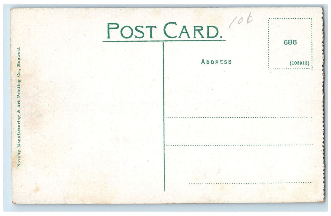 c1910 City Hall Fort William Ontario Canada Antique Unposted Postcard