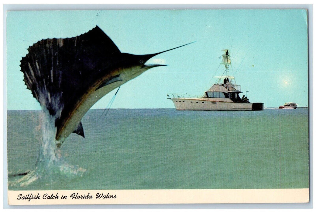 1970 Sailfish Catch In Florida Waters Ocean Boats Bonita Springs FL Postcard