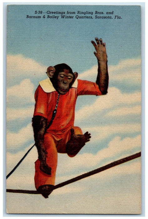 Greetings From Ringling Bros. And Barnum & Bailey Sarasota Florida FL Postcard