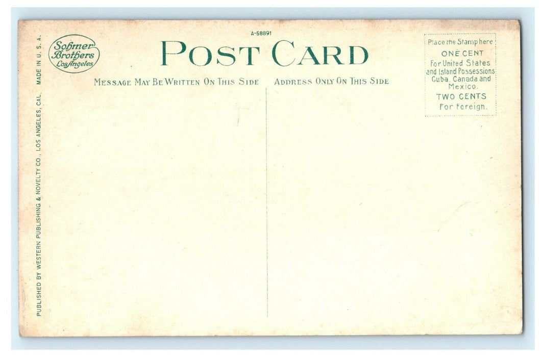 1905 Cinderella Statue Busch Arroyo Garden, Pasadena California CA Postcard