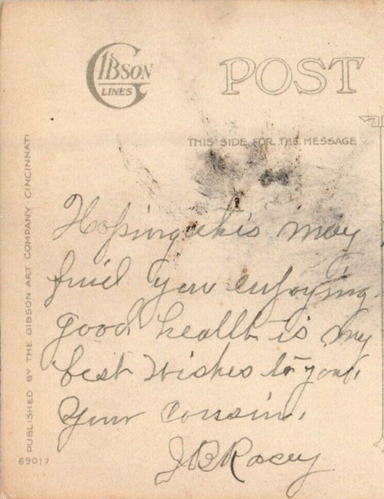 1919 Greetings Easter-tide Houses Flying Birds And Flowers Antique Postcard