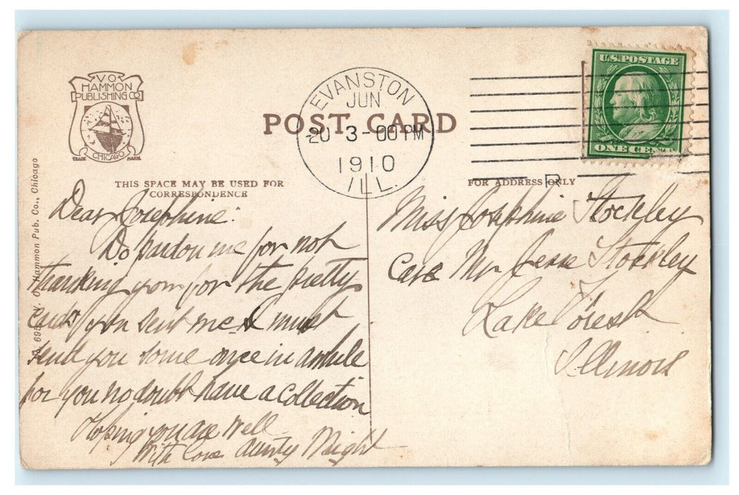 1910 High Bridge, Lincoln Park, Chicago Illinois IL Antique Postcard