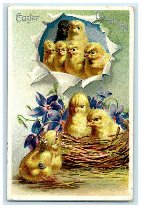 c1910 Easter Greetings Hatched Egg Chicks Nest Pansies Embossed Tuck's Postcard