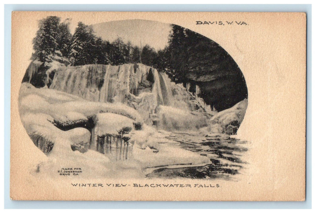 1907 Winter View Blackwater Falls Davis West Virginia WV Unposted Postcard