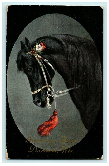 1908 Black Horse with Bit, Greetings from Durham Wisconsin WI Postcard