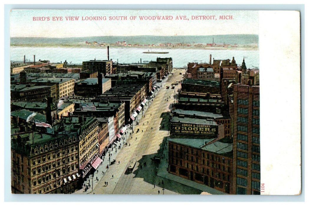 1902 Aerial View of South of Woodward Avenue Detroit Michigan MI Postcard