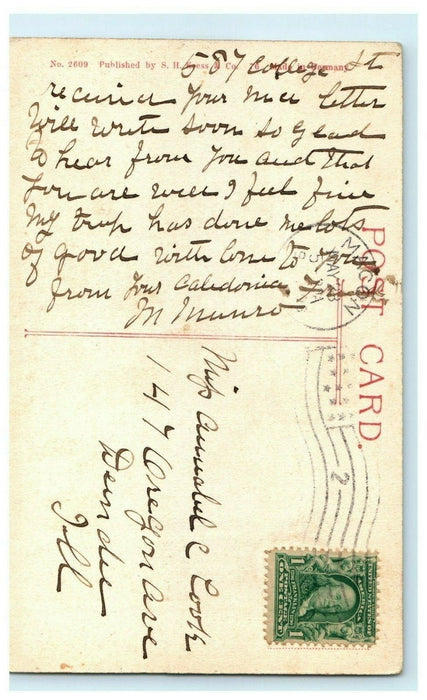 1906 Electrical Posts in College Street, Macon Georgia GA Antique Postcard