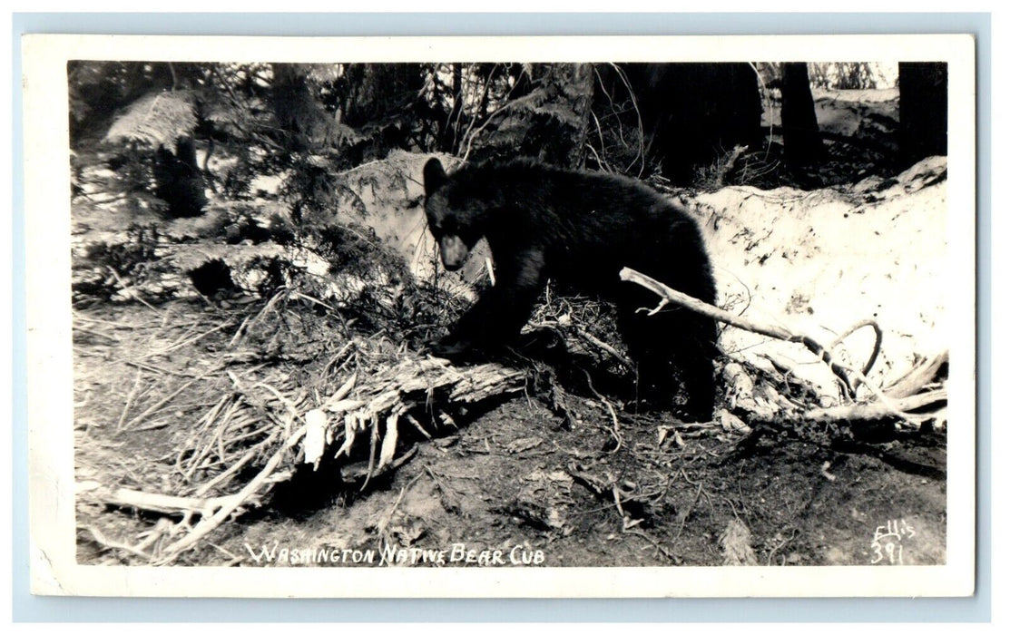 1945 Washington WA, Native Bear Cub Ellis RPPC Photo Posted Vintage Postcard