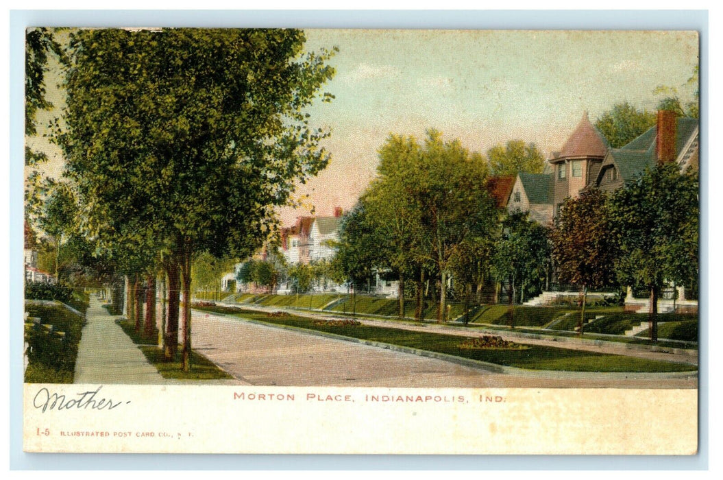 1905 Tree and Road View, Morton Place, Indianapolis Indiana IN Antique Postcard
