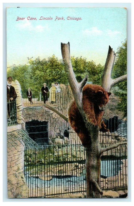 1909 Bear Cave, Lincoln Park, Chicago Illinois IL Antique Postcard