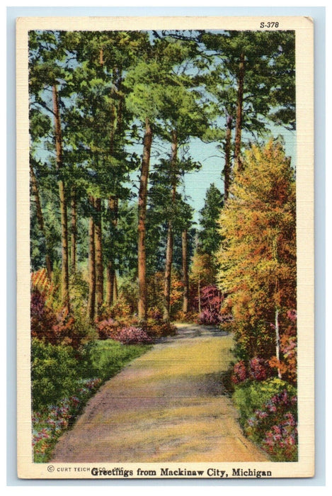 c1930's Greetings From Mackinac City Michigan MI, Road And Trees View Postcard
