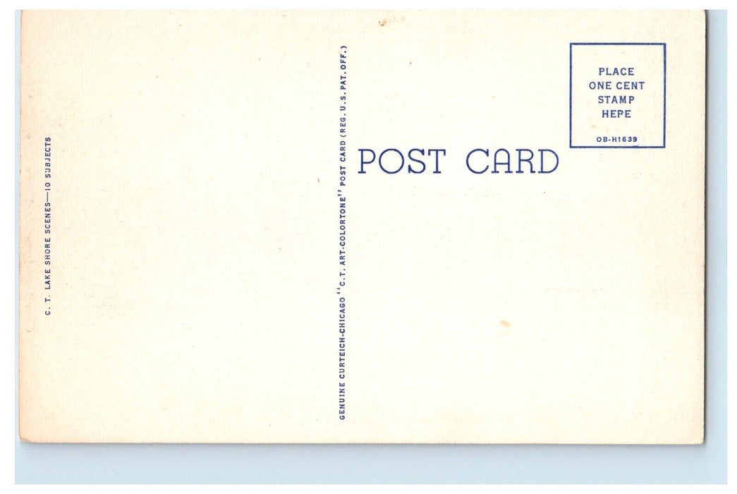 c1930's Greetings From Mackinac City Michigan MI, Road And Trees View Postcard