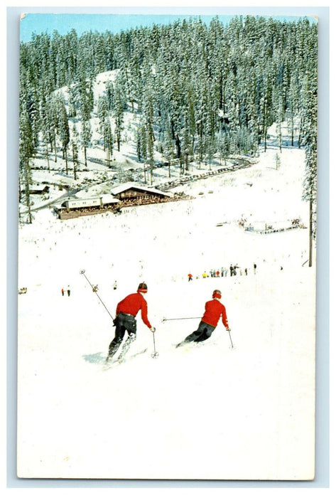 1960 Badger Park, Yosemite National Park California CA Cancel Postcard