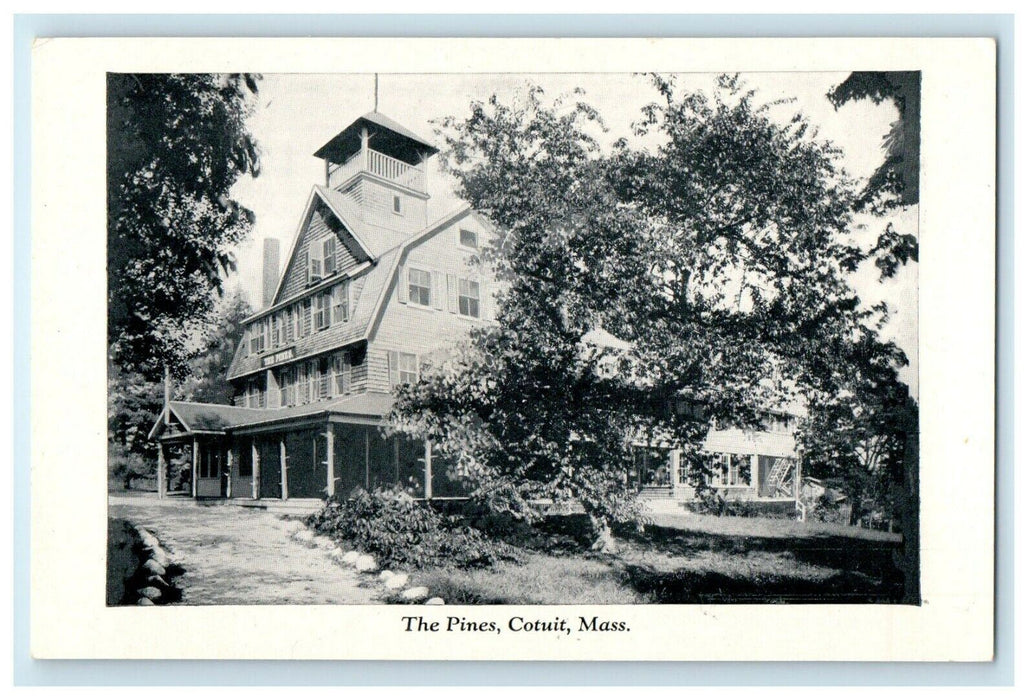 c1920's The Pines Cottage Cotuit Cape Cod Massachusetts Unposted Postcard