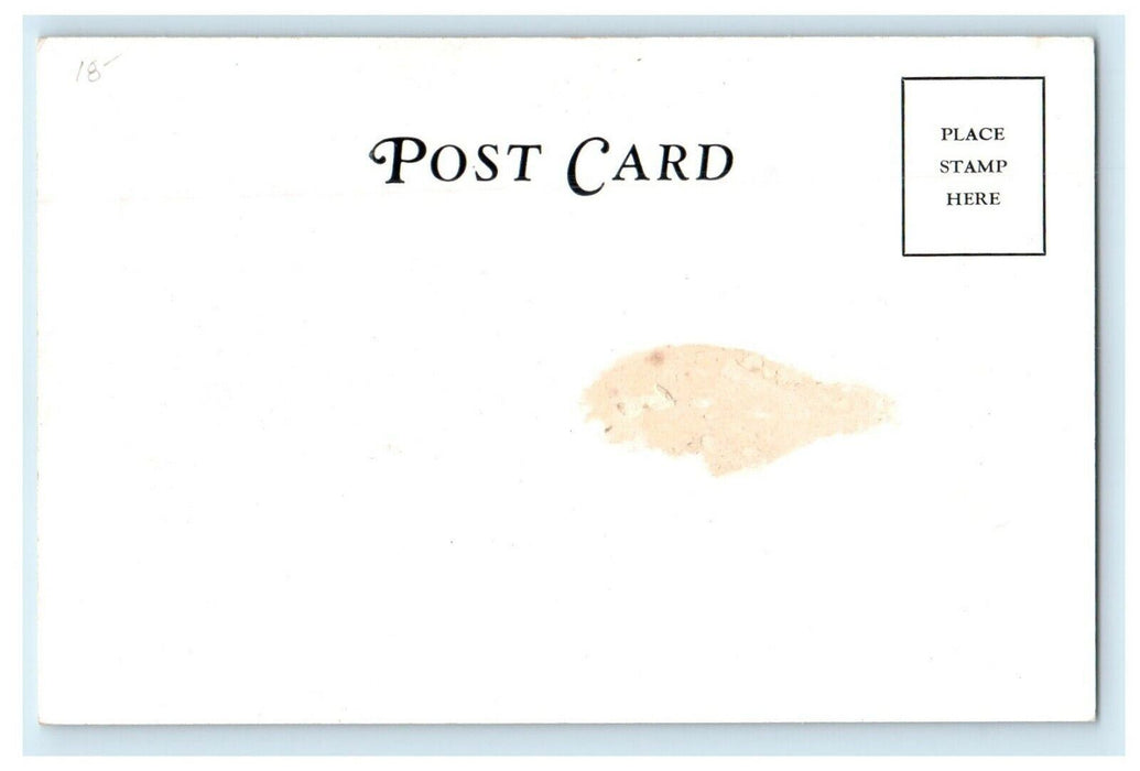 c1920's The Pines Cottage Cotuit Cape Cod Massachusetts Unposted Postcard