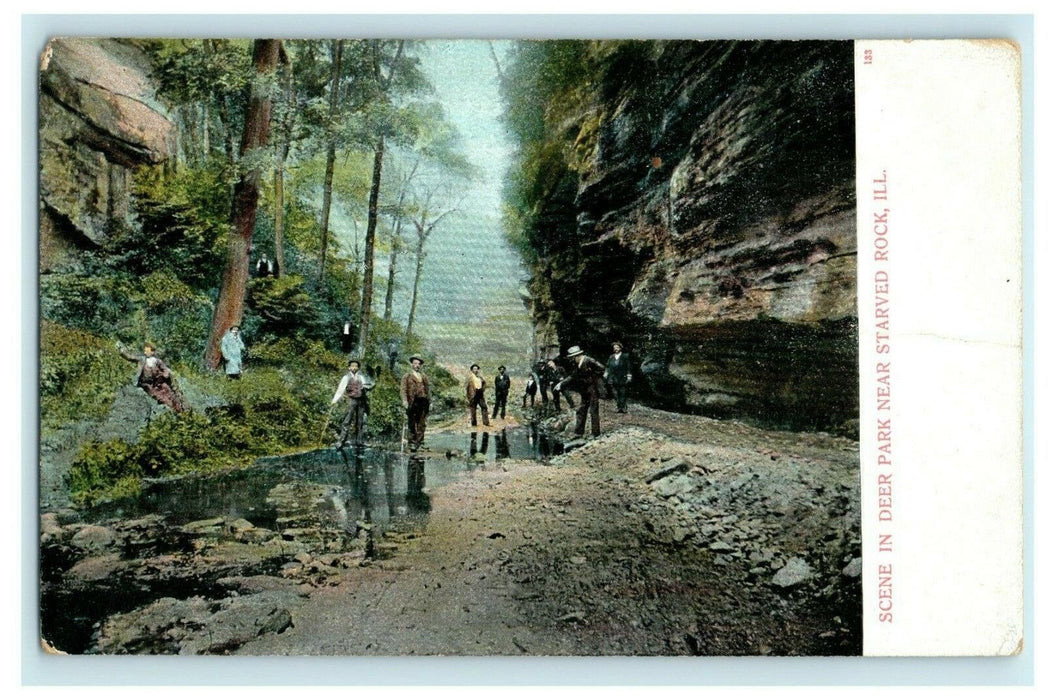 1908 Scene In Deer Park Near Starved Rock, Illinois IL Antique Postcard