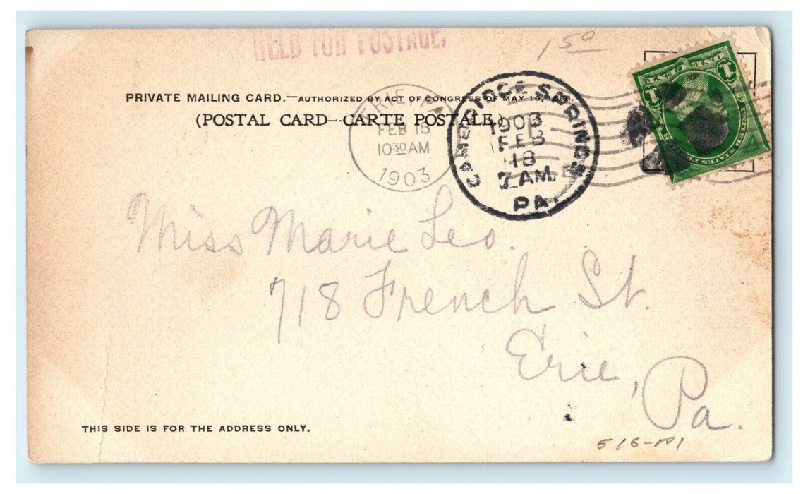 c1903 Central High School Erie Pennsylvania PA Posted Antique Postcard
