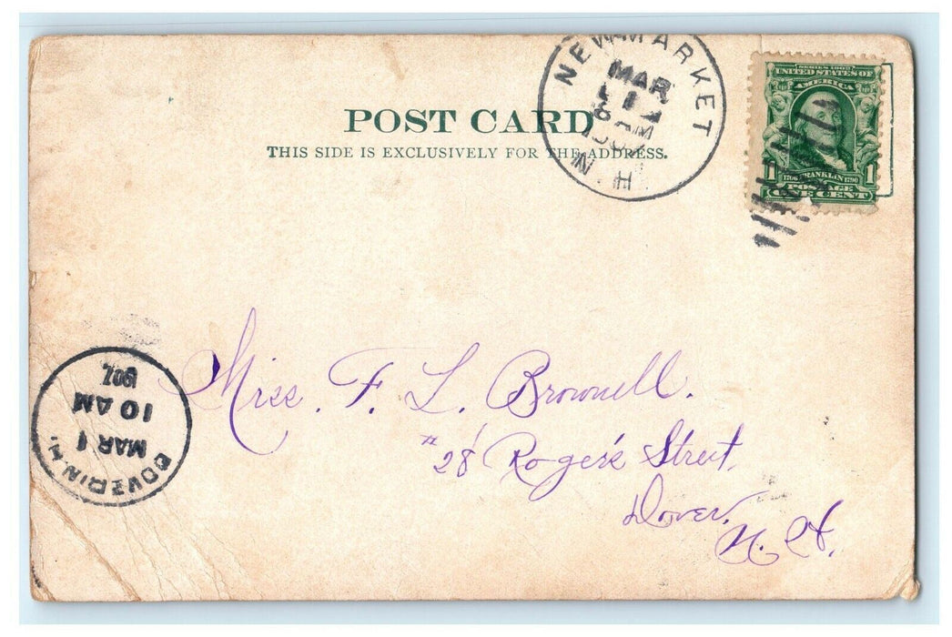 c1907 Rock Bridge Newmarket New Hampshire NH Tree Bark Border Postcard