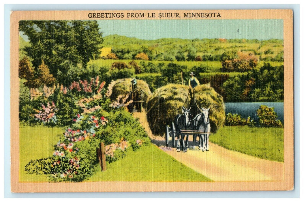 Greetings From Le Sueur Hay Horse Carts Minnesota MN Posted Antique Postcard