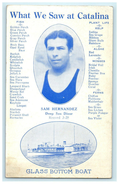 1907 Sam Hernandez, Deep Sea Diver at Catalina, California CA Postcard