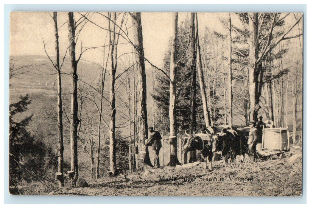 1910 Maple Sugar Season in Vermont VT Posted Antique Postcard