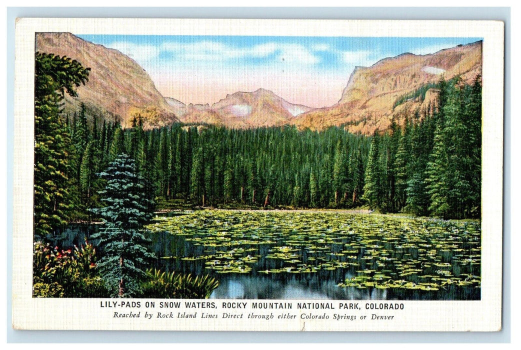 1940 Lily Pads On Snow Waters Rocky Mountain National Park Colorado CO Postcard