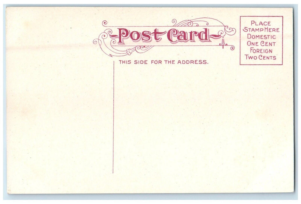 c1910's Scottish Rite Cathedral Street View Fort Wayne Indiana IN Postcard