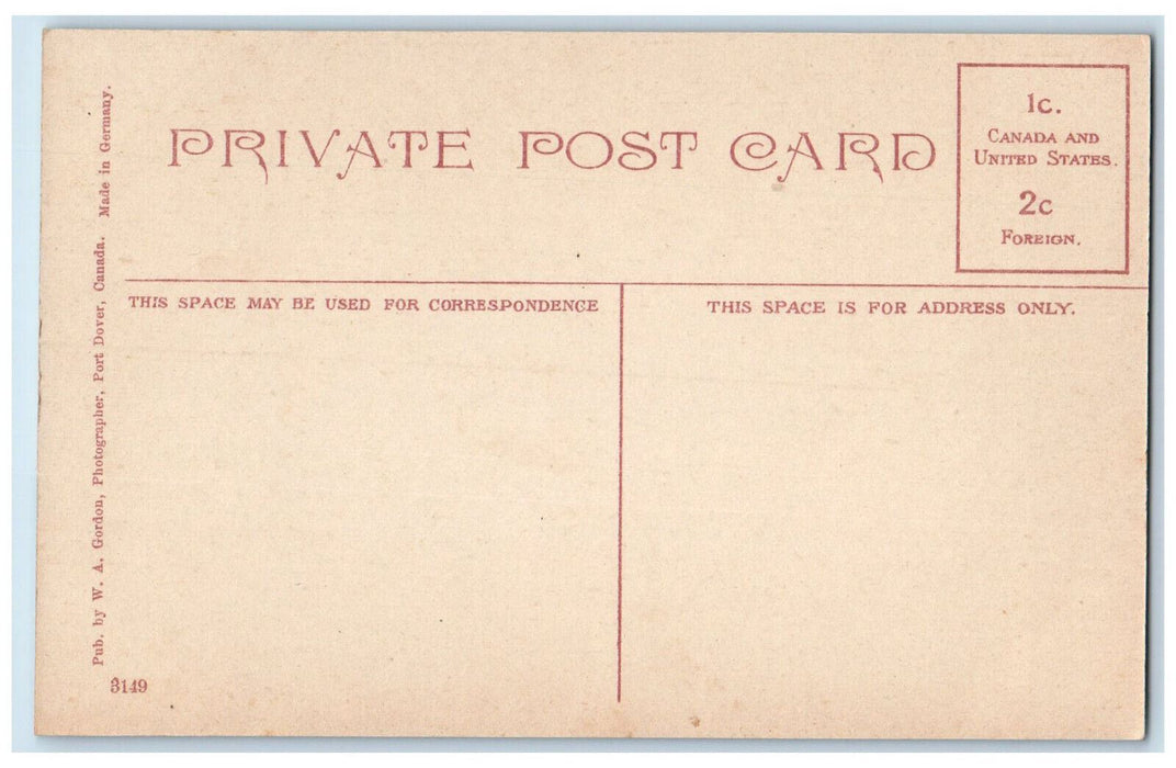c1910 Town Hall from Powell Park Port Dover Canada Unposted Postcard