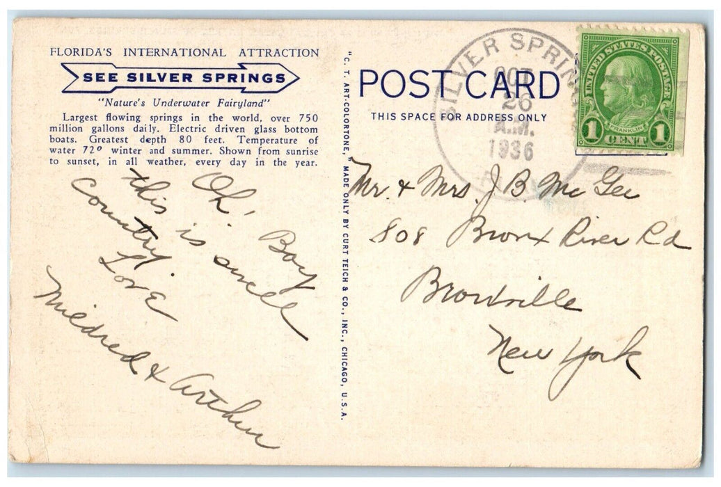 1936 Playing Cards In Crystal Clear Waters Of Silver Springs Florida FL Postcard