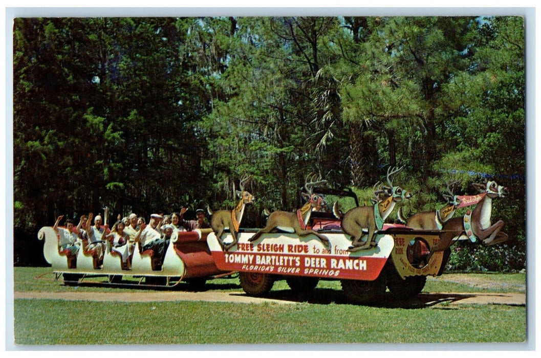 Sleigh Ride Tommy Barlett's Deer Ranch Florida's Silver Springs FL Postcard