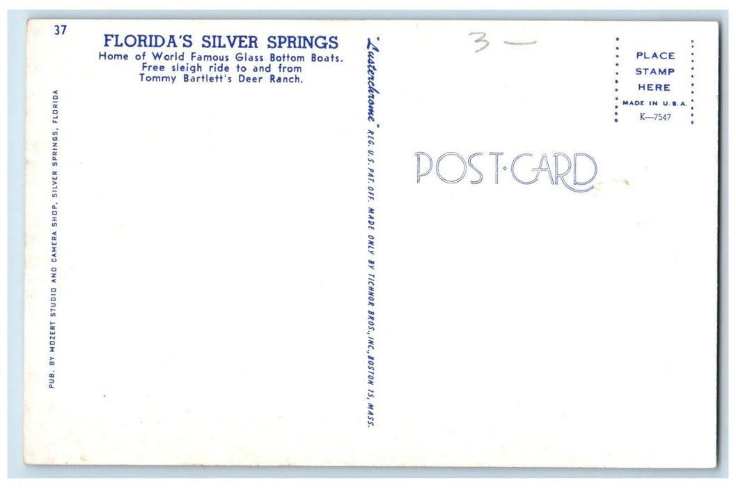 Sleigh Ride Tommy Barlett's Deer Ranch Florida's Silver Springs FL Postcard