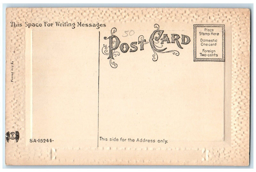 c1910 Steamer Penn Yan Grove Springs Landing Boat Keuka Lake New York Postcard