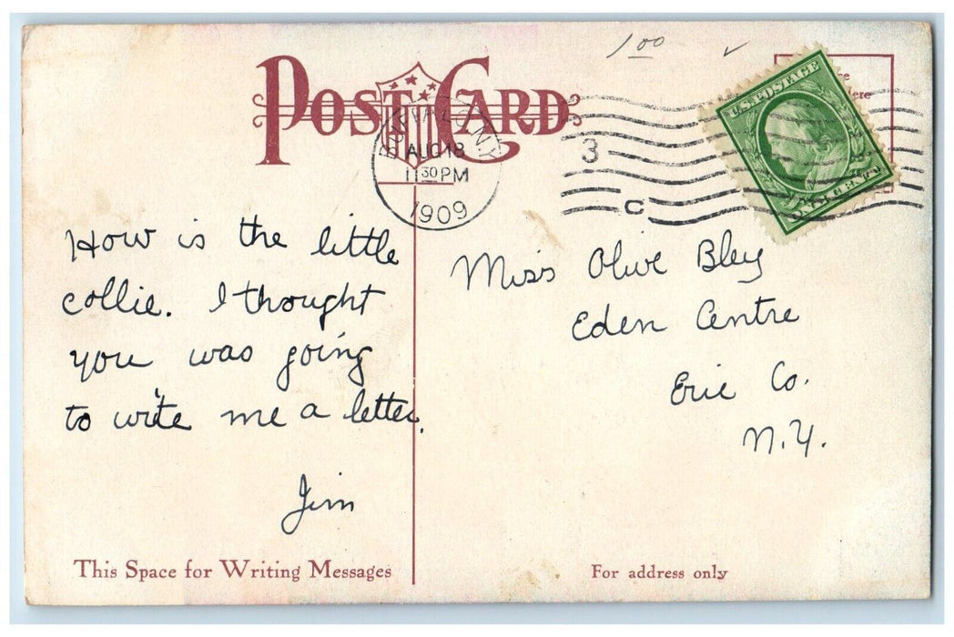 1909 Park Theatre Exterior Building Horse Carriage Buffalo New York NY Postcard