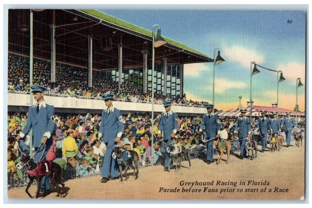 1956 Greyhound Dogs Racing In Florida, Parade Before Fans Start Race Postcard