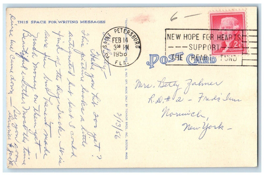1956 Greyhound Dogs Racing In Florida, Parade Before Fans Start Race Postcard