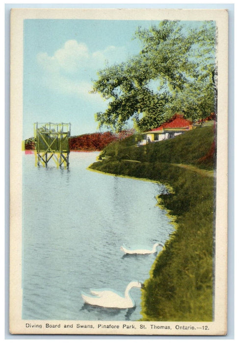 c1940's Diving Board Swans Pinafore Park St Thomas Ontario Canada Postcard