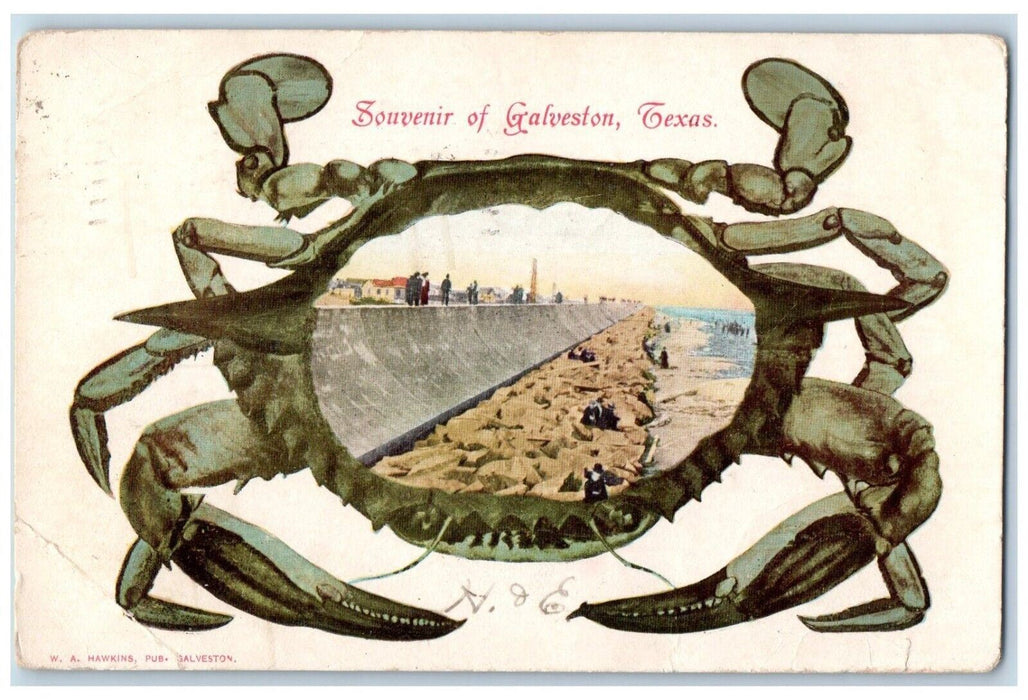 1906 Souvenir Of Galveston Texas TX, Exaggerated Crab Beach View Posted Postcard