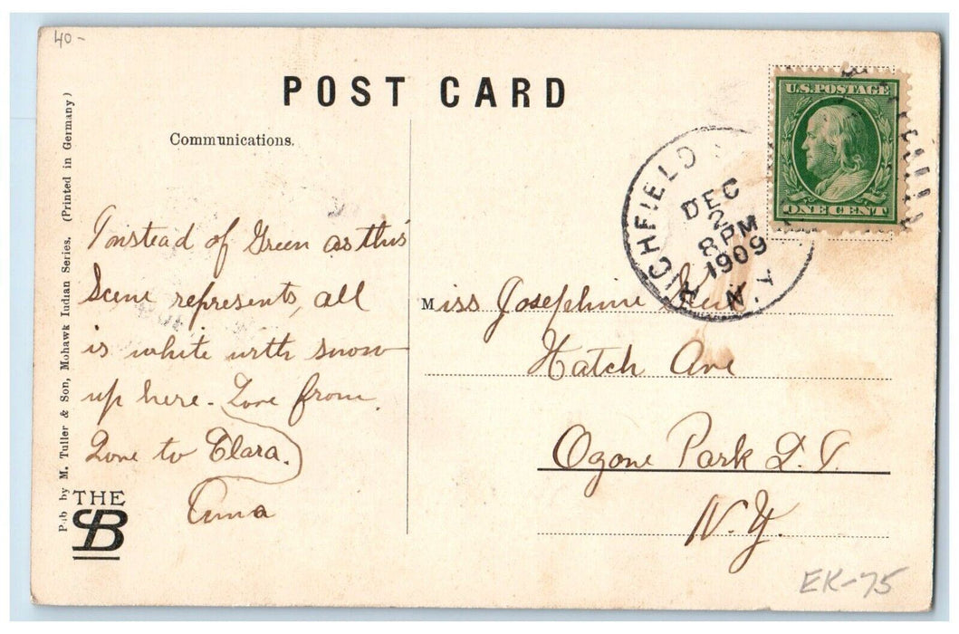 1909 Lake House Park And Dock Boat Richfield Springs New York NY Posted Postcard