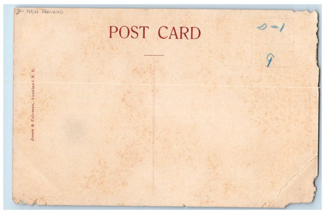 c1910's Ohinemutu From Lake House Hotel Rotorua New Zealand Antique Postcard