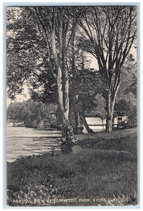 1914 Partial View of Elmwoodd Park Ayers Cliff Quebec Canada Posted Postcard