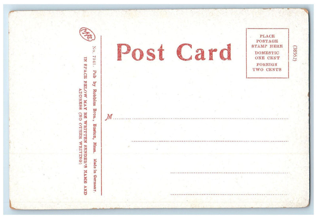 c1910 Saddleback Mountain North Adams Massachusetts MA Antique Unposted Postcard