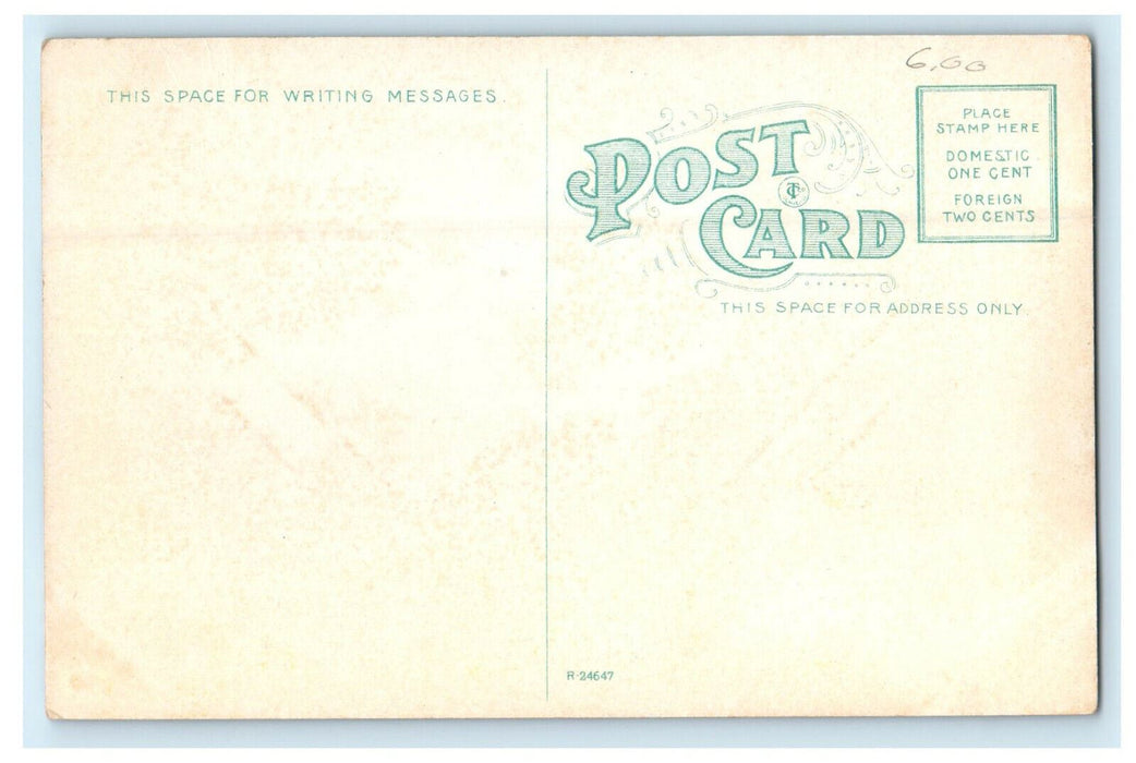 c1910 Boat Landing at the Foot of Main Street Buffalo NY Unposted Postcard
