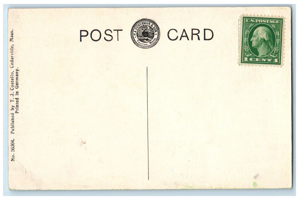 c1910 "The Willows" Lake Manomet Massachusetts MA Unposted Antique Postcard