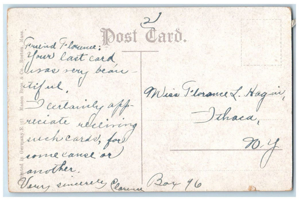 c1910 Fowl at Jamaica Pond Jamaica Plain Massachusetts MA Posted Postcard