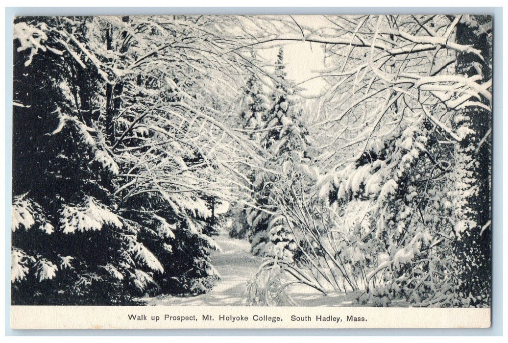 1907 Walk Up Prospect Mt. Holyoke College South Hadley Massachusetts MA Postcard