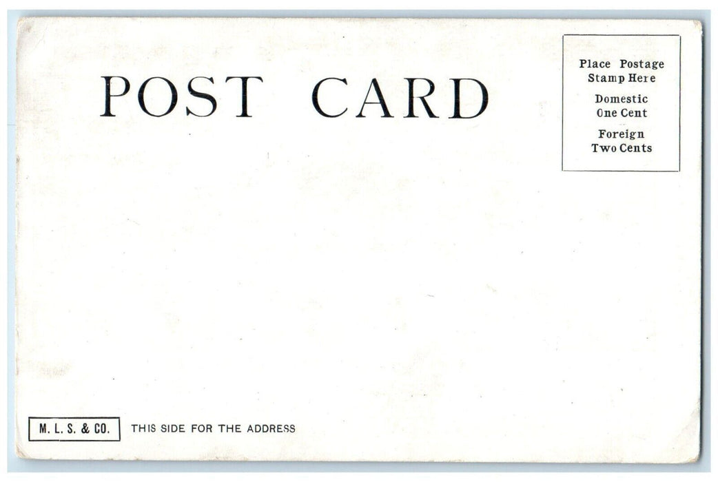 c1905 Grant House Exterior Building Catskill Mountains New York Street Postcard