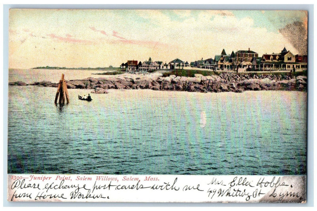 1906 Juniper Point Salem Willows Salem Massachusetts MA Antique Postcard