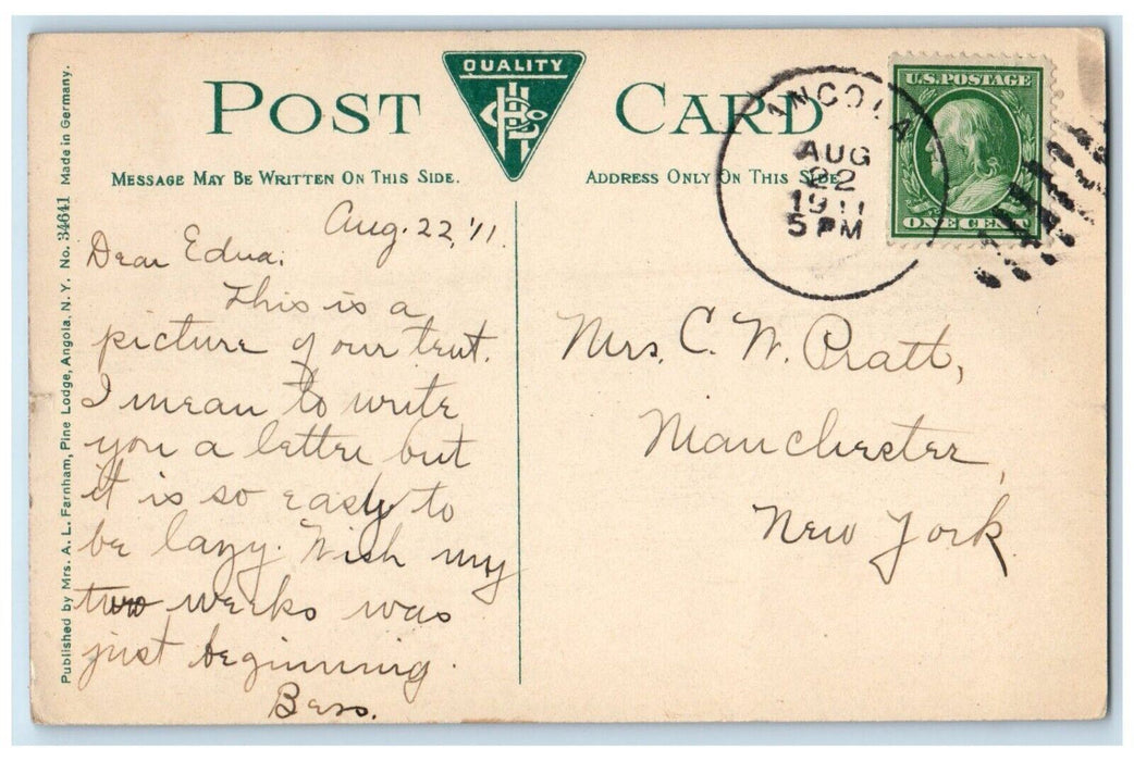 1911 End Of Upper Ridge Pine Lodge Angola New York NY Posted Antique Postcard