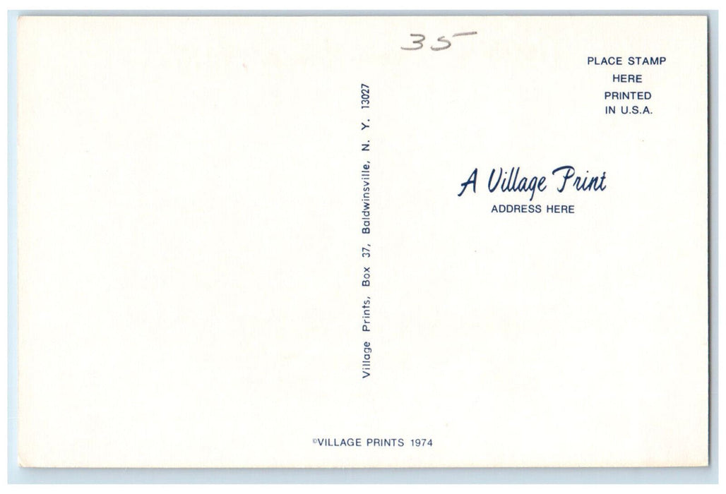 1974 Who Says You Can't Fight City Hall Greetings from Ithaca NY Postcard